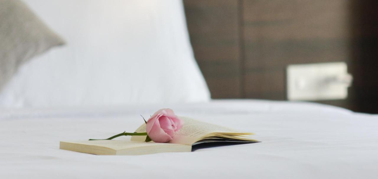 เยน วัง โฮเต็ล แอนด์ อพาร์ตเมนต์ Hotel ญาจาง ภายนอก รูปภาพ